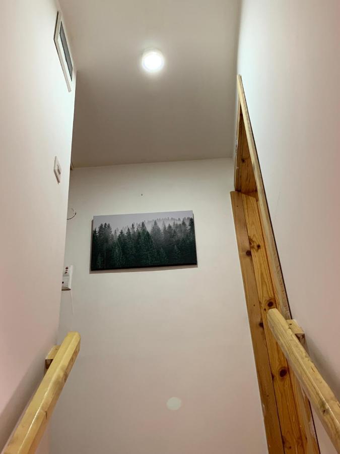 Mountain Vista Chalet Žabljak Eksteriør bilde
